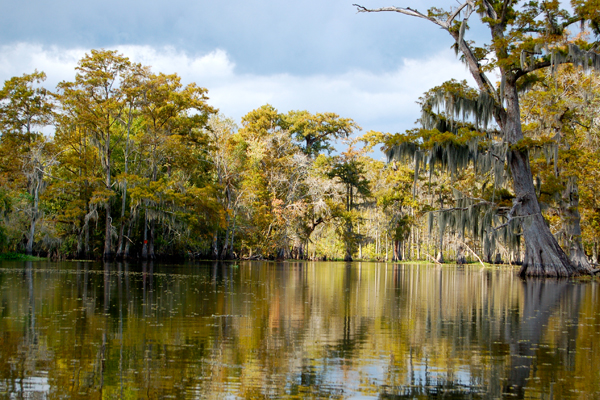 Bayou Blue Louisiana Copper Wire Buyers