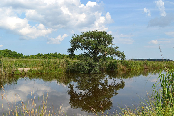 Bear Swamp South Carolina Copper Wire Buyers