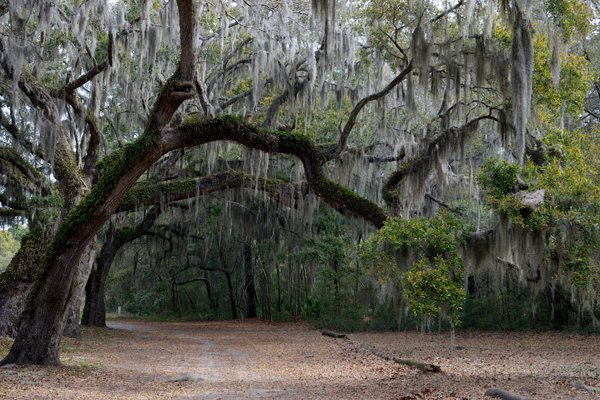 St Helena South Carolina Copper Wire Buyers